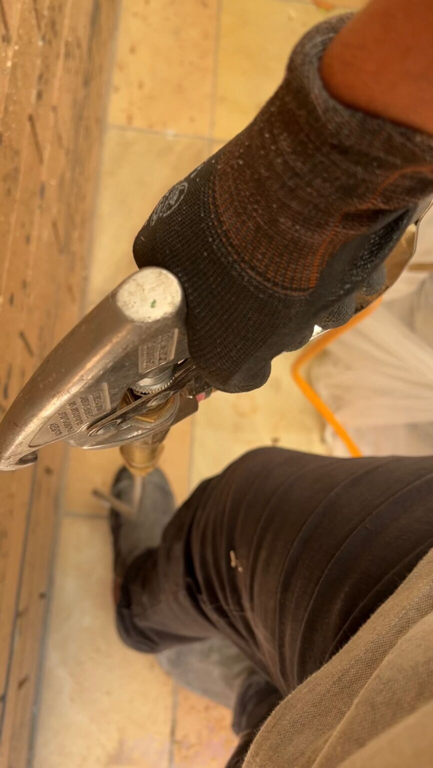 Termite Removal Protec Pest Control